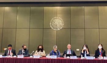 Anuncia Gobernación visita oficial a México de la relatora especial de Naciones Unidas para los derechos humanos de los desplazados internos