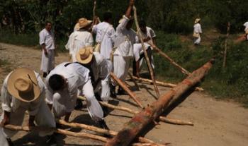 La Secretaría de Cultura federal enaltece la Danza Ritual de los Voladores con la siembra del palo volador en el Complejo Cultural Los Pinos