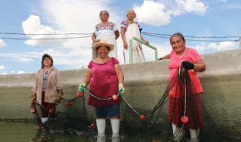 Reactiva Agricultura economía en localidades rurales, con impacto en grupos de mujeres, comunidades indígenas y afrodescendientes