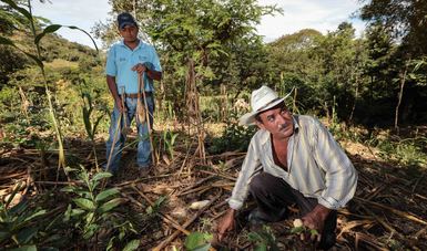 Capacita Agricultura a ejidatarios de Michoacán en el manejo sostenible del suelo