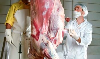 Destaca México como exportador de productos cárnicos