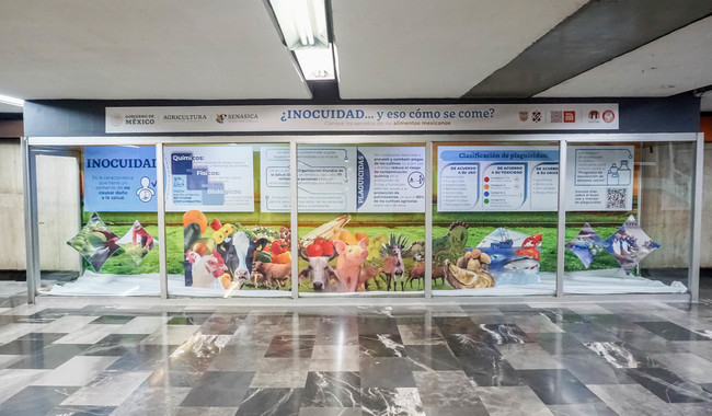 Inaugura Senasica exposición en el metro de la Ciudad de México para promover importancia de la inocuidad agroalimentaria