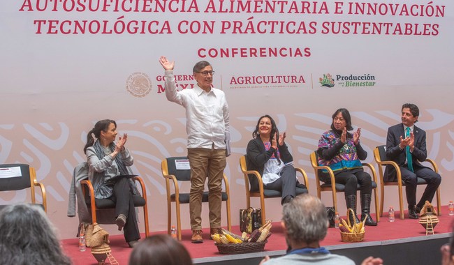 Conmemora Agricultura Día Nacional del Maíz con logros productivos vía procesos agroecológicos