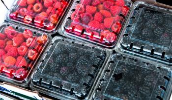 Aumentó 8.78 % exportación de frutillas mexicanas a 38 naciones y se ubican como el principal producto agroalimentario de exportación