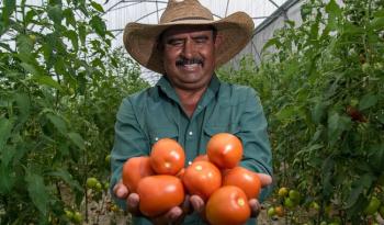 Ofrecen el campo y los mares mexicanos alimentos sanos, nutritivos y asequibles a la población