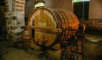 Inicia este lunes en México el 43º Congreso Mundial de la Viña y del Vino; el evento más importante del mundo, en su ramo