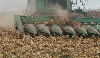 Agricultura, Gruma, CIMMYT e INIFAP impulsan autosuficiencia alimentaria de maíz en Tamaulipas