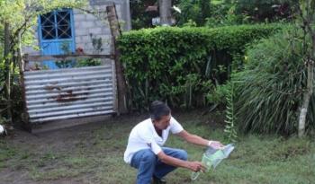 En cuatro años disminuyeron 69.8% los casos de paludismo en México