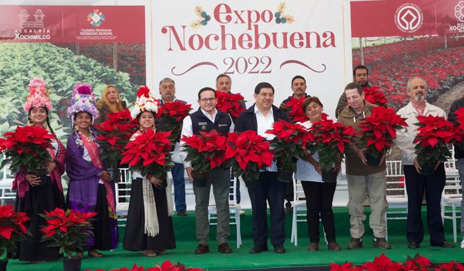 Garantizan productores de siete estados abasto de Nochebuena en México