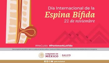 Consumo de ácido fólico previene espina bífida  