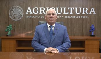 Tiene financiamiento importante papel en el desarrollo de las cadenas agroalimentarias de México y el mundo: Agricultura