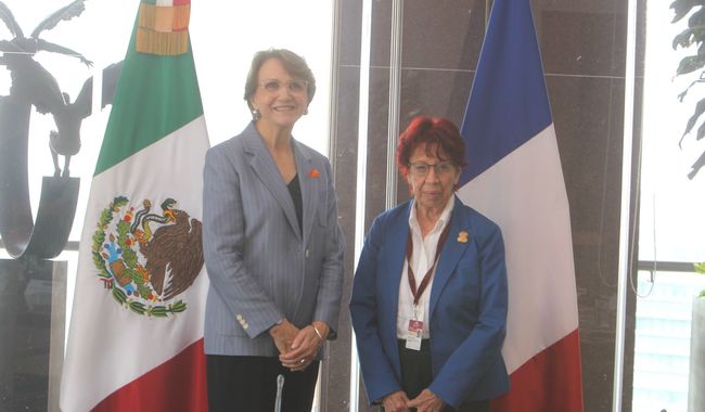 Reunión de Consultas Políticas México-Francia