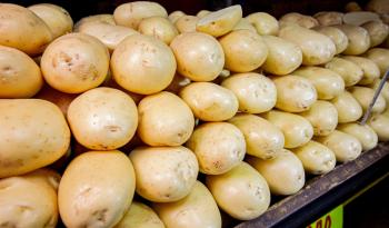 Declara Agricultura a cuatro municipios de Sonora como zona bajo protección de plagas cuarentenarias de la papa