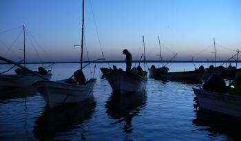 Establece Agricultura zonas de refugio pesquero en Quintana Roo para la preservación y protección de los recursos marinos de la zona