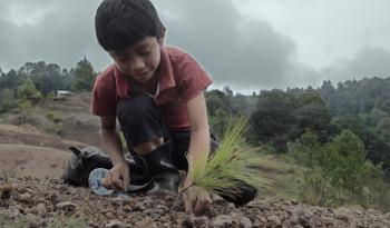 El CCC invita a la presentación de los cortometrajes finalistas de la convocatoria Huellas Verdes