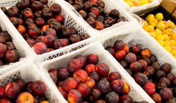 Abastecen productores mexicanos las frutas de temporada para preparar el tradicional ponche: Agricultura