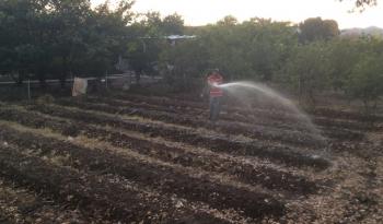 Implementa Agricultura estrategia para estimar y reducir la huella hídrica en la producción agrícola