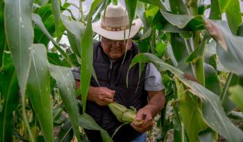 Pública Agricultura las disposiciones generales de las Reglas de Operación de la Secretaría para 2023