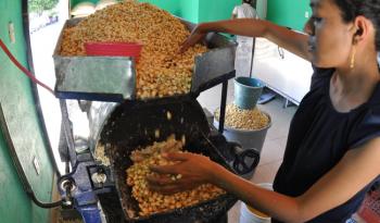 Promueve Agricultura técnica de nixtamalización en países africanos para fortalecer la seguridad alimentaria de la región