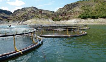 Adoptan pescadores nuevas estrategias para alcanzar capturas responsables y con mayor rentabilidad: Agricultura