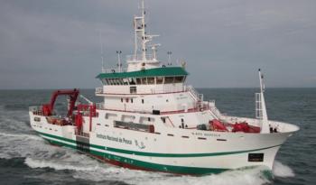 México, a la vanguardia en investigación científica de biomasa de pelágicos menores