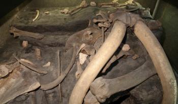 En la Era de Hielo, Santa Isabel Ixtapan pudo ser un campamento estacional de cazadores-recolectores