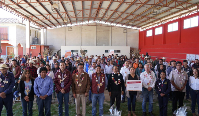 Apoya Agricultura siembra de maíz nativo en comunidades indígenas de Tepoztlán, Morelos