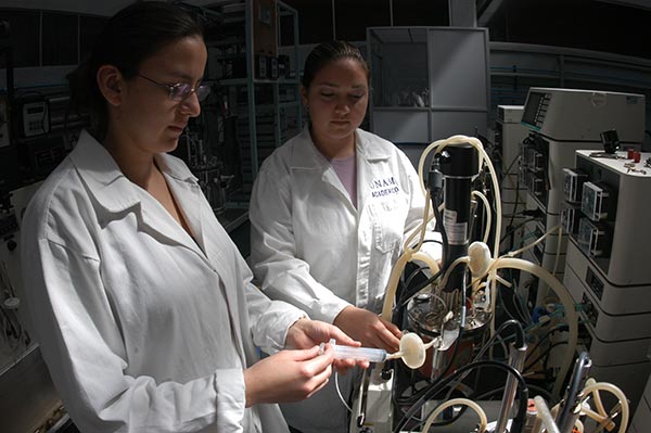 Presencia femenina en ciencias ocupa sitio infravalorado