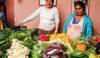 Firman México y Canadá equivalencia en materia de productos orgánicos