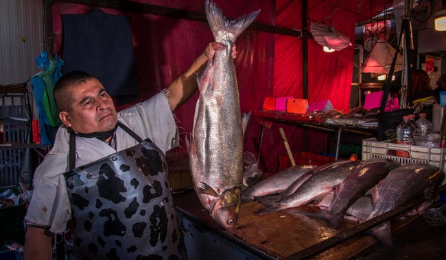 Disponibilidad de pescados y mariscos para Cuaresma y Semana Santa en México: fuente de proteína y nutrientes esenciales