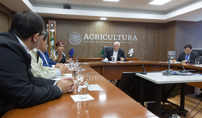 Secretaría de Agricultura de México busca impulsar la irradiación de frutos frescos para mejorar su comercialización y garantizar su sanidad