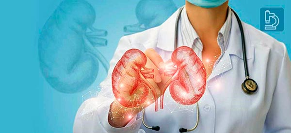 Detección temprana de enfermedades renales puede mejorar calidad de vida, de acuerdo a experta de la UNAM