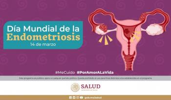 Endometriosis en México: una de cada 10 mujeres en edad reproductiva padece esta enfermedad causante de infertilidad
