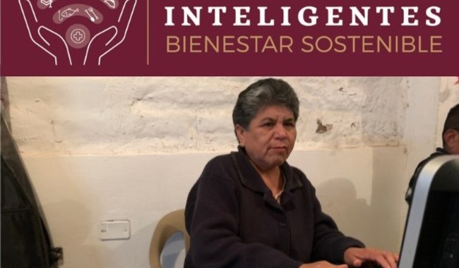 Proyecto Aldeas Inteligentes: Conectividad Gratuita para Mujeres Emprendedoras en México