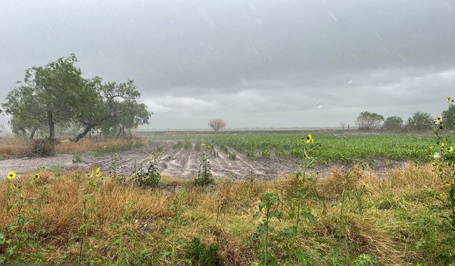 Beneficia estimulación de lluvias más de 700 mil hectáreas agrícolas y de praderas de Tamaulipas