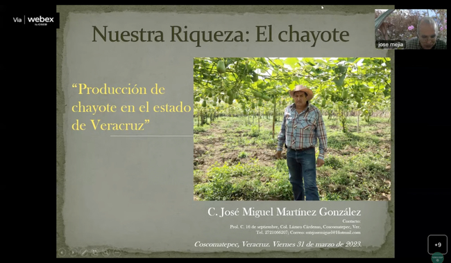Gobierno de México promueve el cultivo ancestral del chayote y celebra a jóvenes agricultores