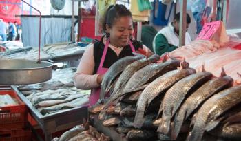 Abasto de productos del mar está garantizado para Semana Santa en México