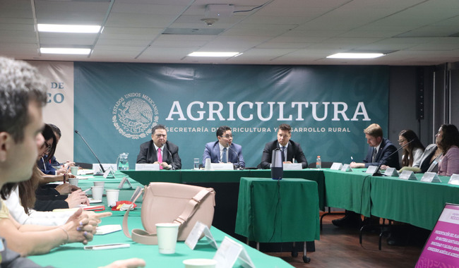 Gobierno de México llama a paneles de expertos para discutir la influenza aviar y la peste porcina africana