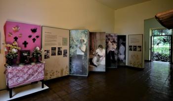 Reestructuración del Jardín Etnobotánico y Museo de Medicina Tradicional y Herbolaria en Cuernavaca