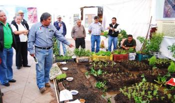 Huertos biointensivos: una alternativa sostenible para la producción de hortalizas en comunidades rurales