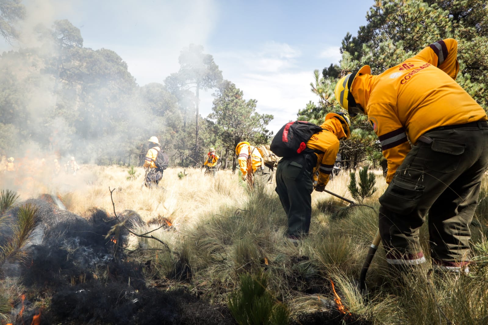 Brigadistas combaten incendios forestales en Ciudad de México: reconocimiento en su día internacional