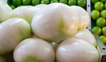 Chihuahua Lidera Producción de Cebolla en México: Inocuidad y Calidad Certificada