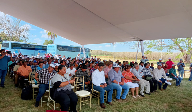 Cooperación Técnica México-Belice: Impulso a la Producción de Soya, Guanábana, Cocotero y Pitahaya