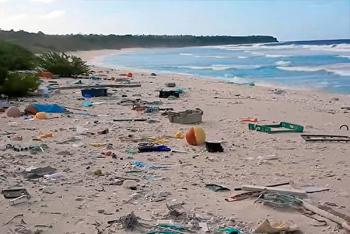 25,000 Especies Marinas se Extinguen Anualmente sin Ser Descritas: UNAM
