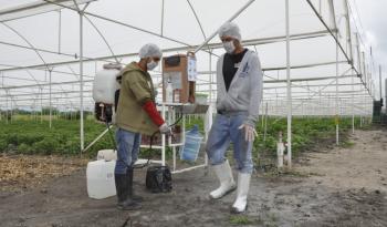 Seguridad Alimentaria en México: El Valor de la Certificación en la Industria Agroalimentaria