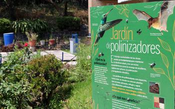 Jardines para Polinizadores en la UNAM: Promoviendo la Biodiversidad