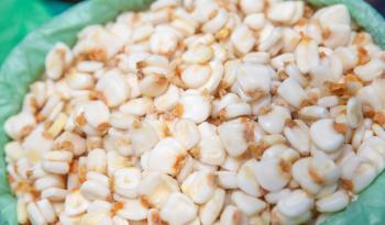 Programas de Fertilización Potencian Producción de Granos en México