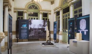 Inaugurada la exposición Palenque: 200 años de descubrimientos en el Museo Regional de Antropología de Yucatán