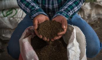 Programa de Fertilizantes para el Bienestar supera el millón de beneficiarios atendidos en México