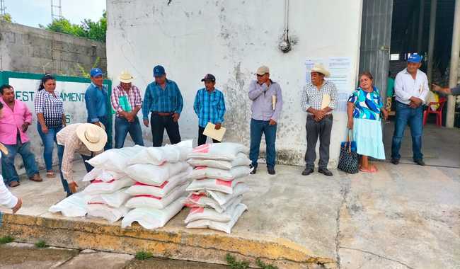 Programa Fertilizantes para el Bienestar beneficia a productores en Tabasco